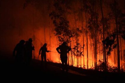 Southern Europe wildfires leave 3 dead, thousands displaced – National | Globalnews.ca