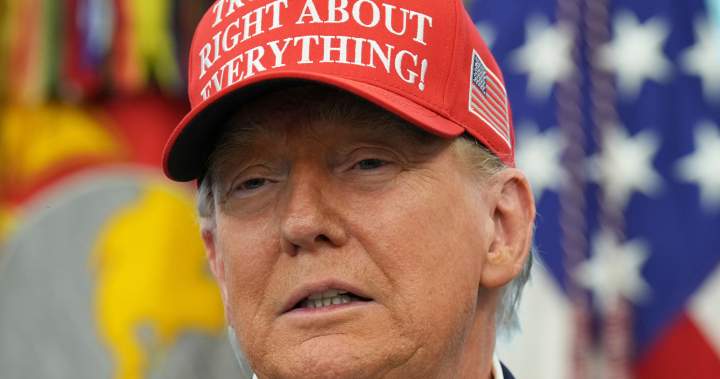 Trump says ‘I’ll see whose fault it is’ if Putin-Zelenskyy meeting not set – National | Globalnews.ca