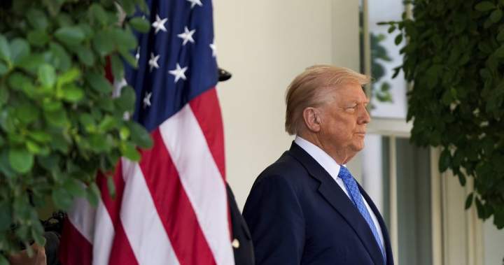 Trump told Norwegian minister he wanted Nobel Prize: report – National | Globalnews.ca