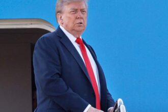 Trump vows more tariffs on steel, semiconductor chips within 2 weeks – National | Globalnews.ca