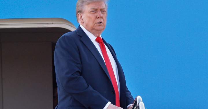 Trump vows more tariffs on steel, semiconductor chips within 2 weeks – National | Globalnews.ca