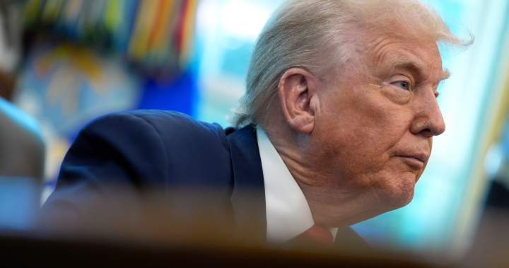 Trump wants Putin summit to ‘set the table’ for future Zelenskyy meeting – National | Globalnews.ca