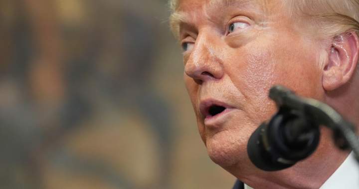 Trump’s Aug. 7 tariff start date for some countries brings new uncertainty – National | Globalnews.ca