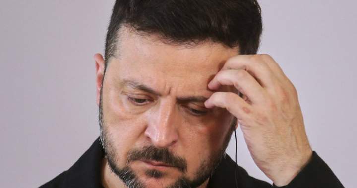 Zelenskyy dismisses Alaska summit between Putin, Trump that excludes Ukraine – National | Globalnews.ca